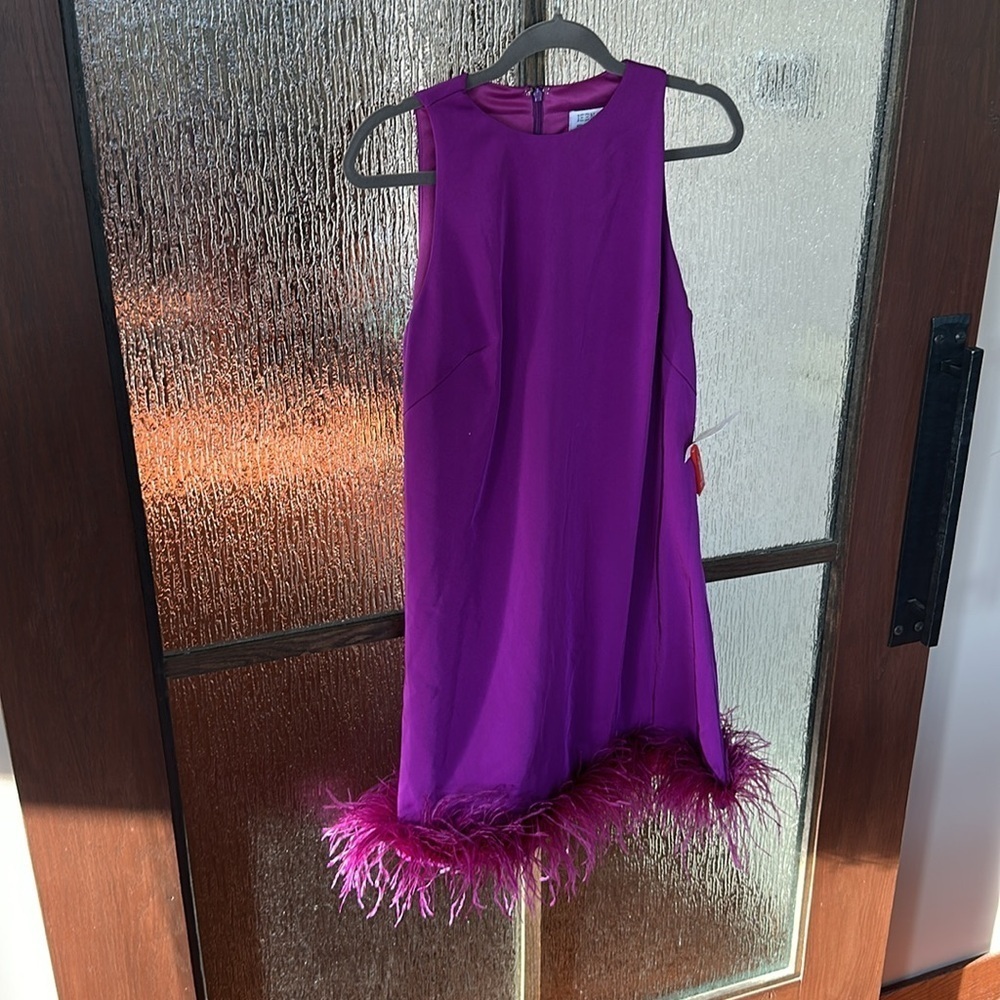 Mac Duggal 55805 Feathered Hem High Neck Sleeveless A-Line Dress Size 10 NWT - Picture 4 of 11